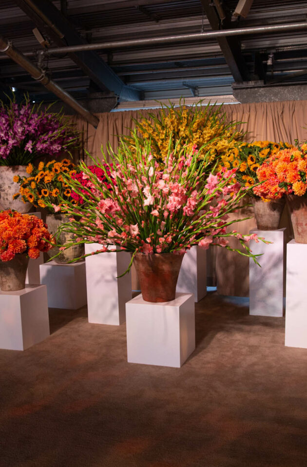 A variety of colorful flowers arranged in vases on white pedestals in an event venue space for an indoor setting.