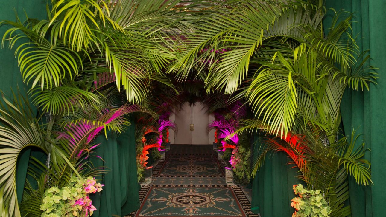 Event planners designed a tropical themed event entrance with illuminated archway of palm leaves and flowers.